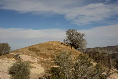 DSC_6271 (Large).JPG